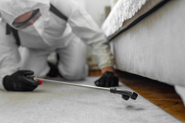 Professional Bed Bug Control technician working in San Leon, TX